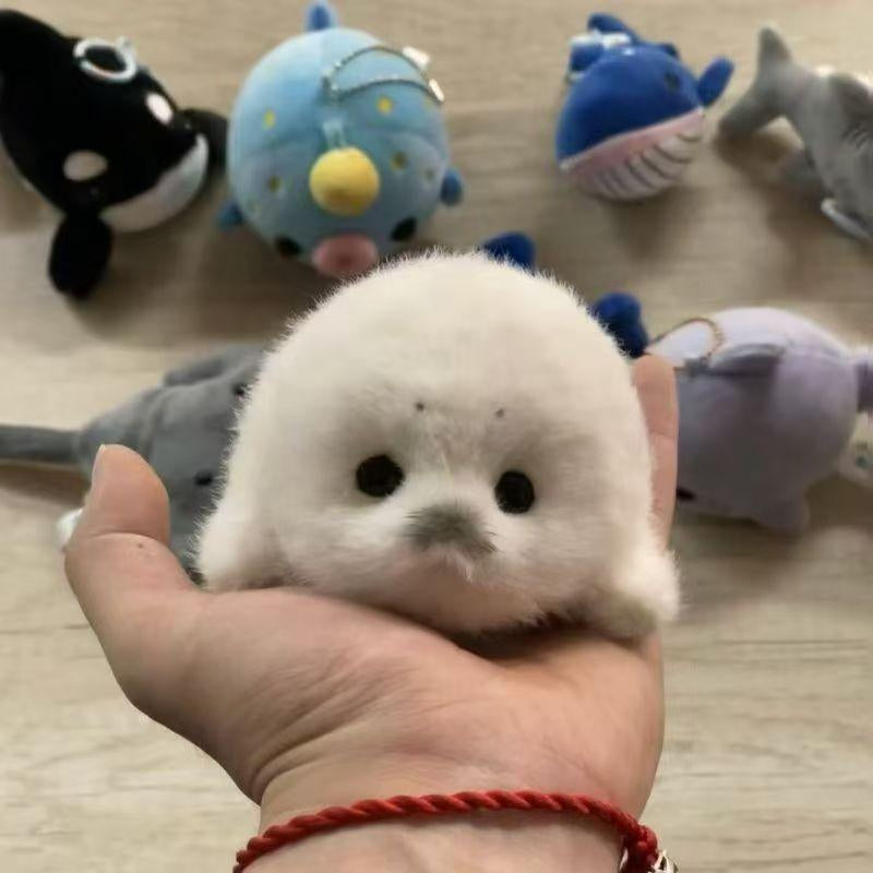 Cute Plush Baby Seal Toy, Stuffed Animal, Ocean Guardian Hanging Decoration, Realistic Sea Lion Gift, Adorable Marine Life Figurine, Soft Cuddly Gift for Kids