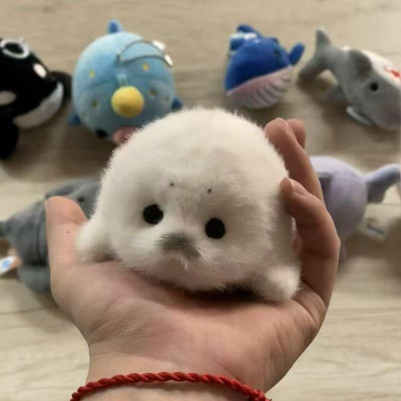 Cute Plush Baby Seal Toy, Stuffed Animal, Ocean Guardian Hanging Decoration, Realistic Sea Lion Gift, Adorable Marine Life Figurine, Soft Cuddly Gift for Kids